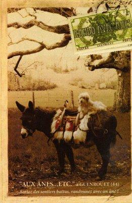 aux ânes etc... aux ânes etc...