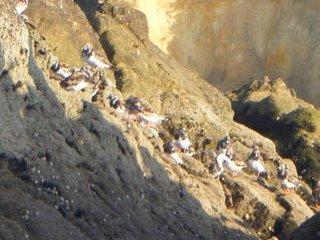 Les déferlantes Les déferlantes