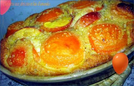 Clafoutis aux abricots et au lait d'amandes Image Hosted by ImageShack.us