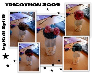 bonnets tricothon 2009