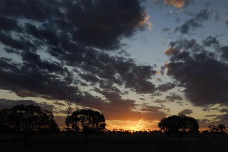 Morney Plains, suite et fin. Australie_0069___The_Channel_Country