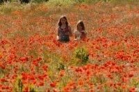 NOS ENFANTS NOUS ACCUSERONT NOS ENFANTS NOUS ACCUSERONT