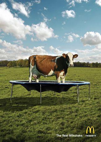 JEUD’ART et D’HUMOUR : - Vernissage - JEUD’ART et D’HUMOUR : - Vernissage -