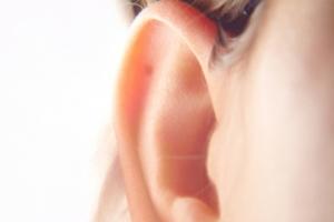 Parler dans l'oreille droite permettrait de mieux se faire comprendre oreille (illustration)