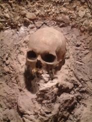 Les premiers Européens auraient été cannibales crâne humain