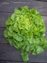 Super astuces salade.jpg