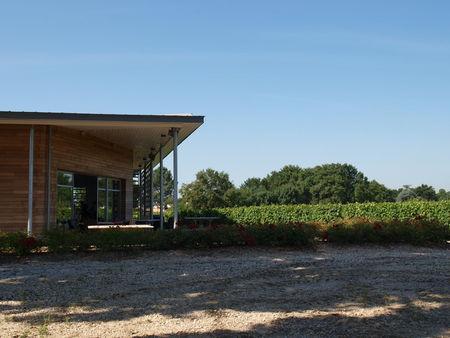 Week-end Vinexp'Off (5) : le salon des vignerons blogueurs P6223013