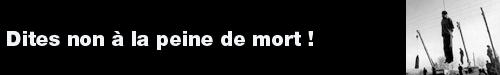Une vie après l'autre ou l'incarnation des possibles bannieresiteabolition.gif