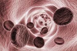 Les nanoparticules d’argent pour prévenir les caillots sanguins vaisseau sanguin
