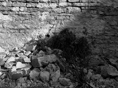 Les photos du jour: 30 juin 2009 30609mur2.1246357959.jpg