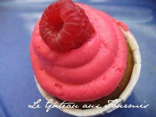 De Jolis Cupcakes Pistache/Framboise