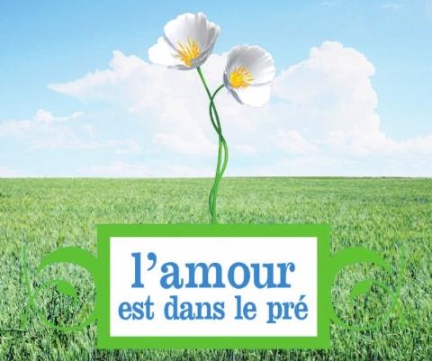 L'amour est dans le pré, vraiment pas friendly L'amour est dans le pré, vraiment pas friendly