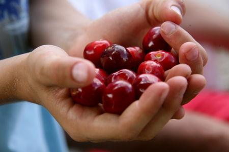 du bonheur à partager et un peu de chocolat IMG_4639