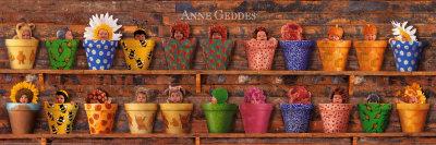 De si beaux bebes , des bouts de chou si mimi De si beaux bebes , des bouts de chou si mimi