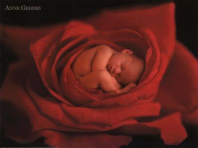 De si beaux bebes , des bouts de chou si mimi De si beaux bebes , des bouts de chou si mimi