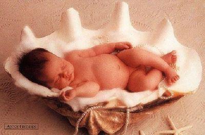 De si beaux bebes , des bouts de chou si mimi De si beaux bebes , des bouts de chou si mimi