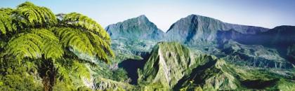 le coeur de l'ile le coeur de l'ile