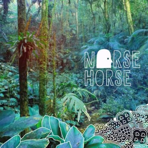 norsehorse norsehorse