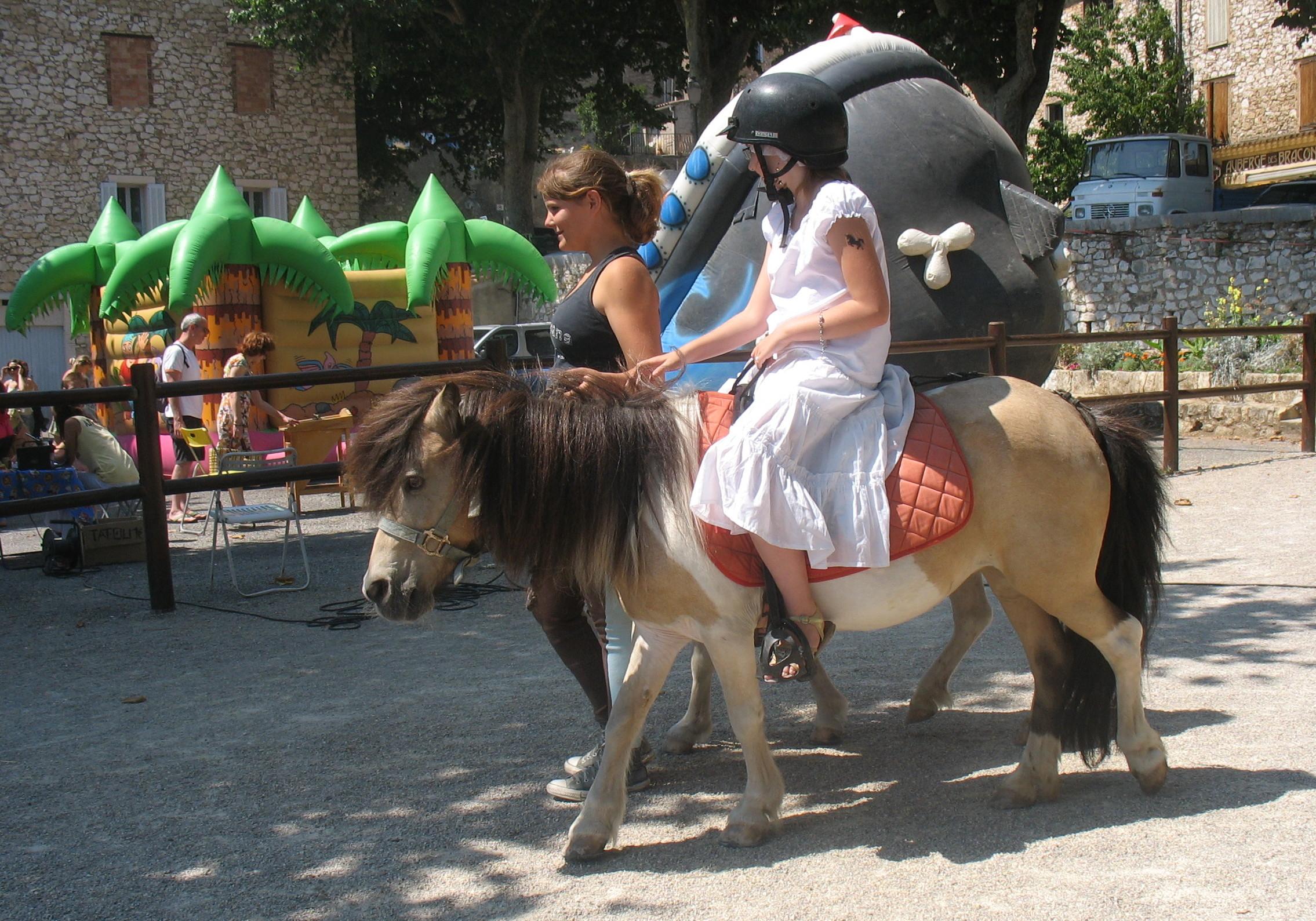 Un commentaire qui fait plaisir photo-016.1246620784.jpg