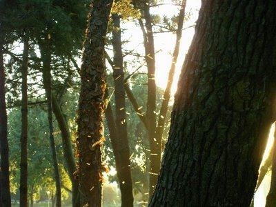 un samedi soir sur l'estuaire un samedi soir sur l'estuaire