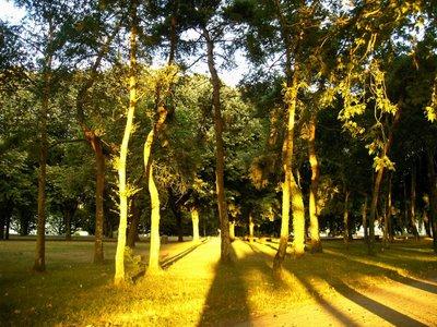 un samedi soir sur l'estuaire un samedi soir sur l'estuaire