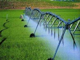 L'eau et l'agriculture dans les pays riches