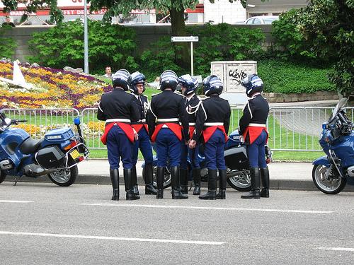 photo du jour - Pic of the Day pour une fois que c'est pas eux qui nous prennent en photo !