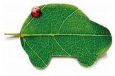 Le GreenWashing