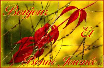 Une bonne pizza et un grand merci a Regine et Cenwen bonjour-et-bonne-journee-vigne.gif