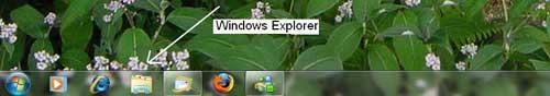 Icône de l'Exlorateur Windows