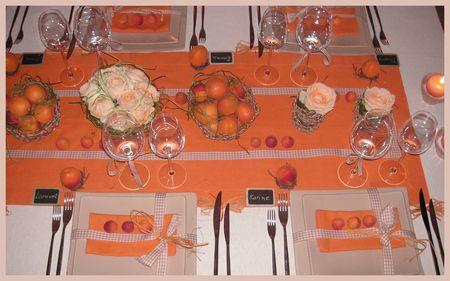 2009_07_07_table_abricots30