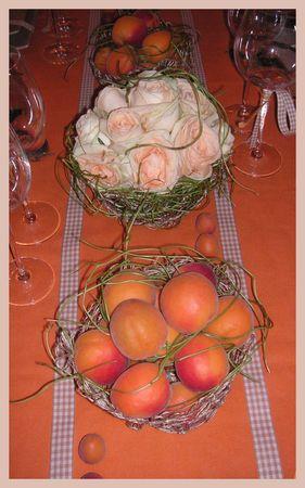 2009_07_07_table_abricots18