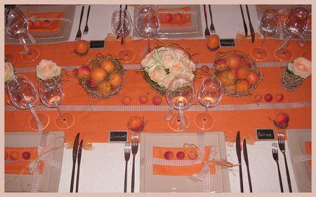 2009_07_07_table_abricots14