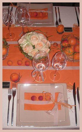 2009_07_07_table_abricots15