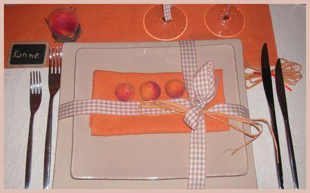 2009_07_07_table_abricots10