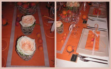 2009_07_07_table_abricots8