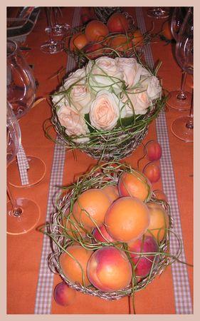 2009_07_07_table_abricots3
