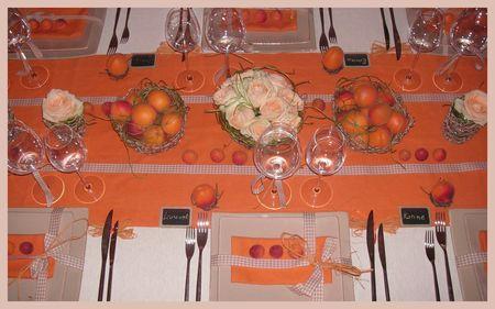 2009_07_07_table_abricots24