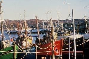 Ecrire après avoir composé : la récompense Ecrire après avoir composé : la récompense