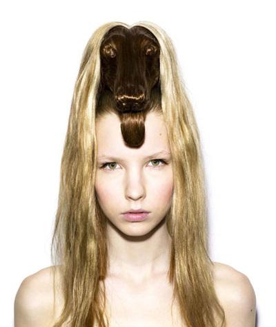 coiffures-animaux-L-1.jpeg