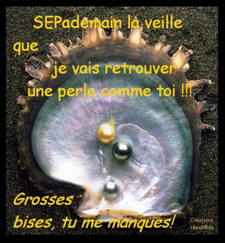 CARTE POSTALE ETE 2007/2008/2009 (3) pour vous chers SEPiens! sepcarte12.gif