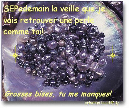 CARTE POSTALE ETE 2007/2008/2009 (3) pour vous chers SEPiens! sepcarte2.gif