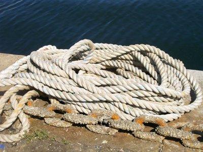 poèmes de mon vivant poèmes de mon vivant