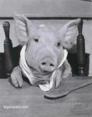 Prévisions astrologiques n°74 cochon à table.jpg