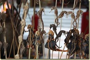 Une petite faim?... Beijing2009_815