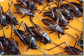 Une petite faim?... Beijing2009_803