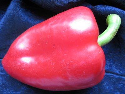 Poivrons roulés à la main .... Poivrons roulés à la main ....