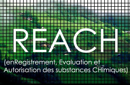 reach cd141 Règlement REACH : notion de « substances monomères »