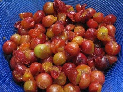 Confitures de prunes