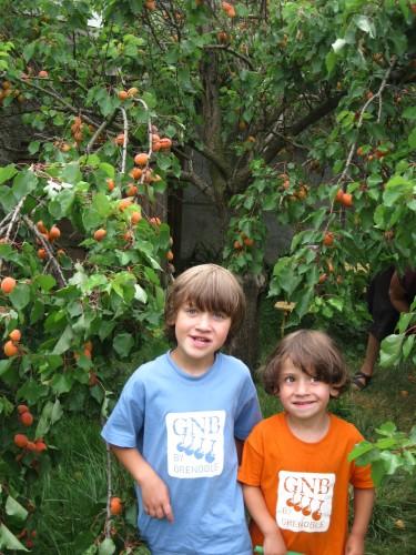 George fait des confitures 125.JPG